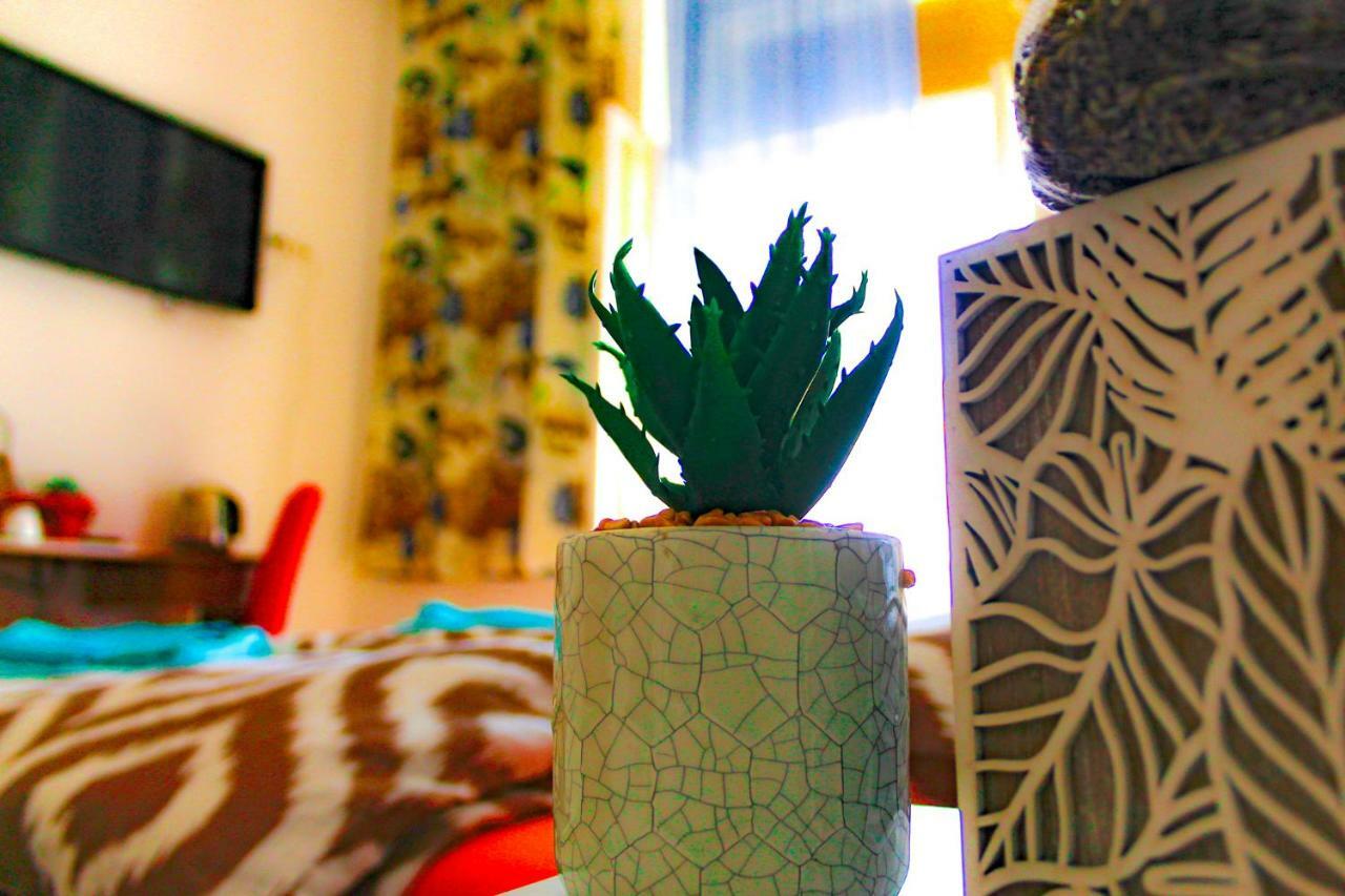 Fluminis Rooms Fiume Kültér fotó